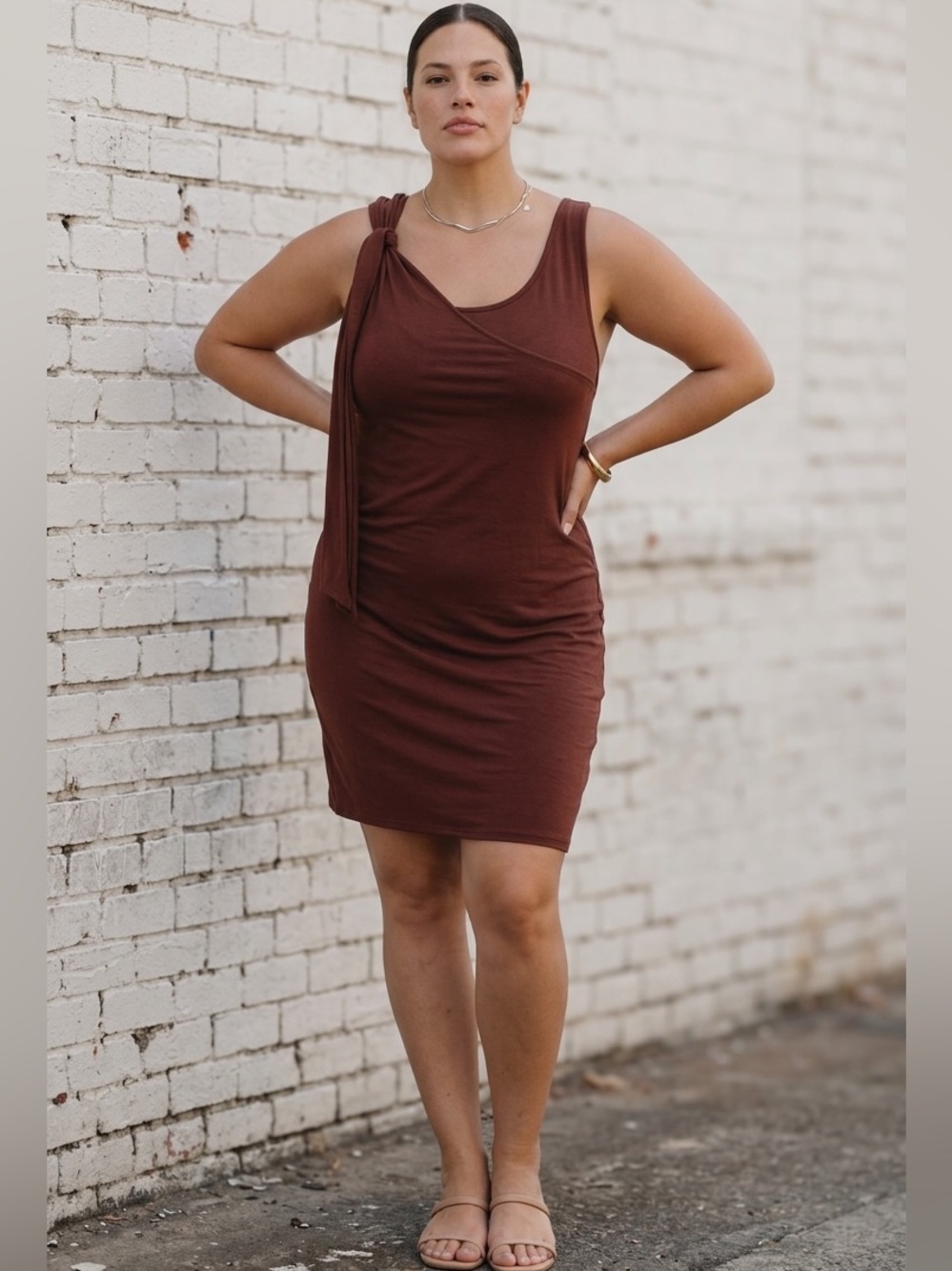 Anthropologie Brown Celandine Sleeveless Dress